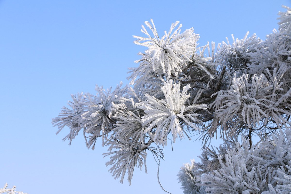 JenniferKalbe's tweet image. ❤️Teilen Sie die wunderschöne Schneeszene mit allen