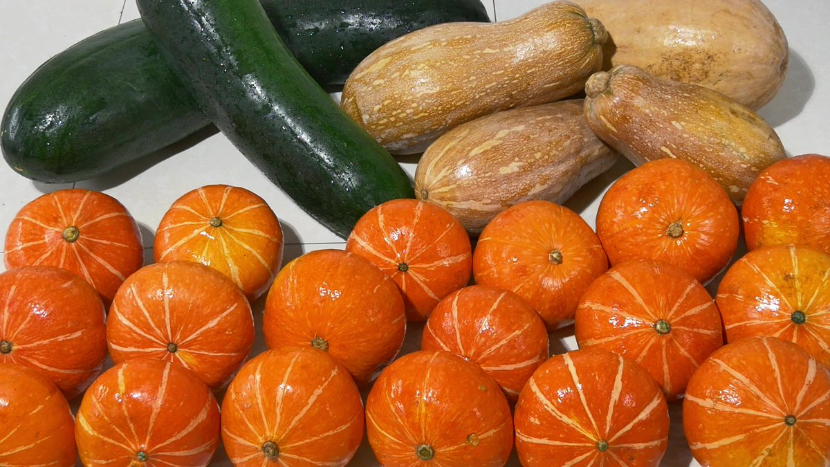 JenniferKalbe's tweet image. Gott gibt den Menschen eine tägliche Ernährung