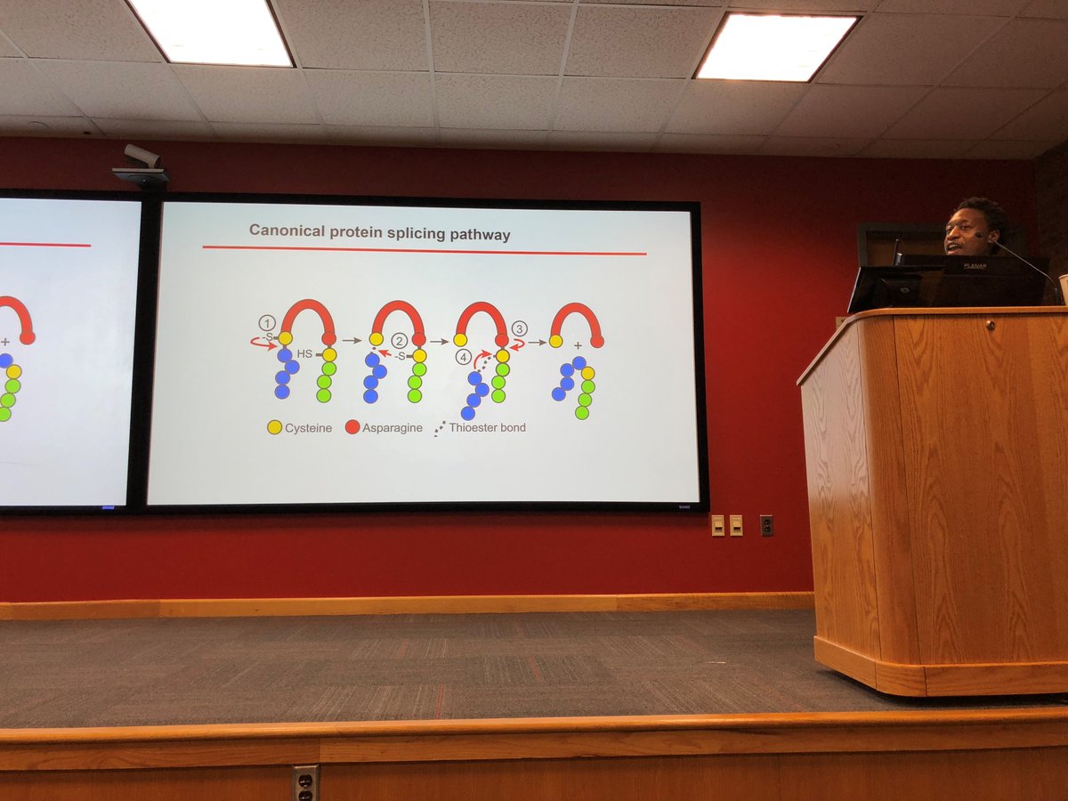JAM_talks_usa's tweet photo. Thank you everyone for attending yesterday’s JAM talks! We got to learn about a possible new drug target for TB and how mold regulates circadian rhythms. See you next month! https://t.co/vwroKRdN5i