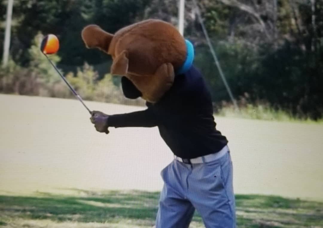 DysonGolf's tweet photo. Come by and check out this great golf channel! Link in Bio. #Golf #Property #Pga #golfing #mensgolf #womengolf #pgatour #pga2019 #Atlanta #exciting #fun #siriusxm #YouTube #SupportSmallStreamers #thursdaymorning #earthquake #Powerball #JohnWick #dysongolf #golfcourse #golfing https://t.co/my3DRQrCQt