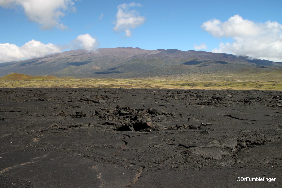 DrFumblefinger's tweet photo. From the #archives
Lovely and #scenic #SaddleRoad on the #BigIsland of #Hawaii.
https://t.co/bLzymwZq8i https://t.co/06SHy0rNWy