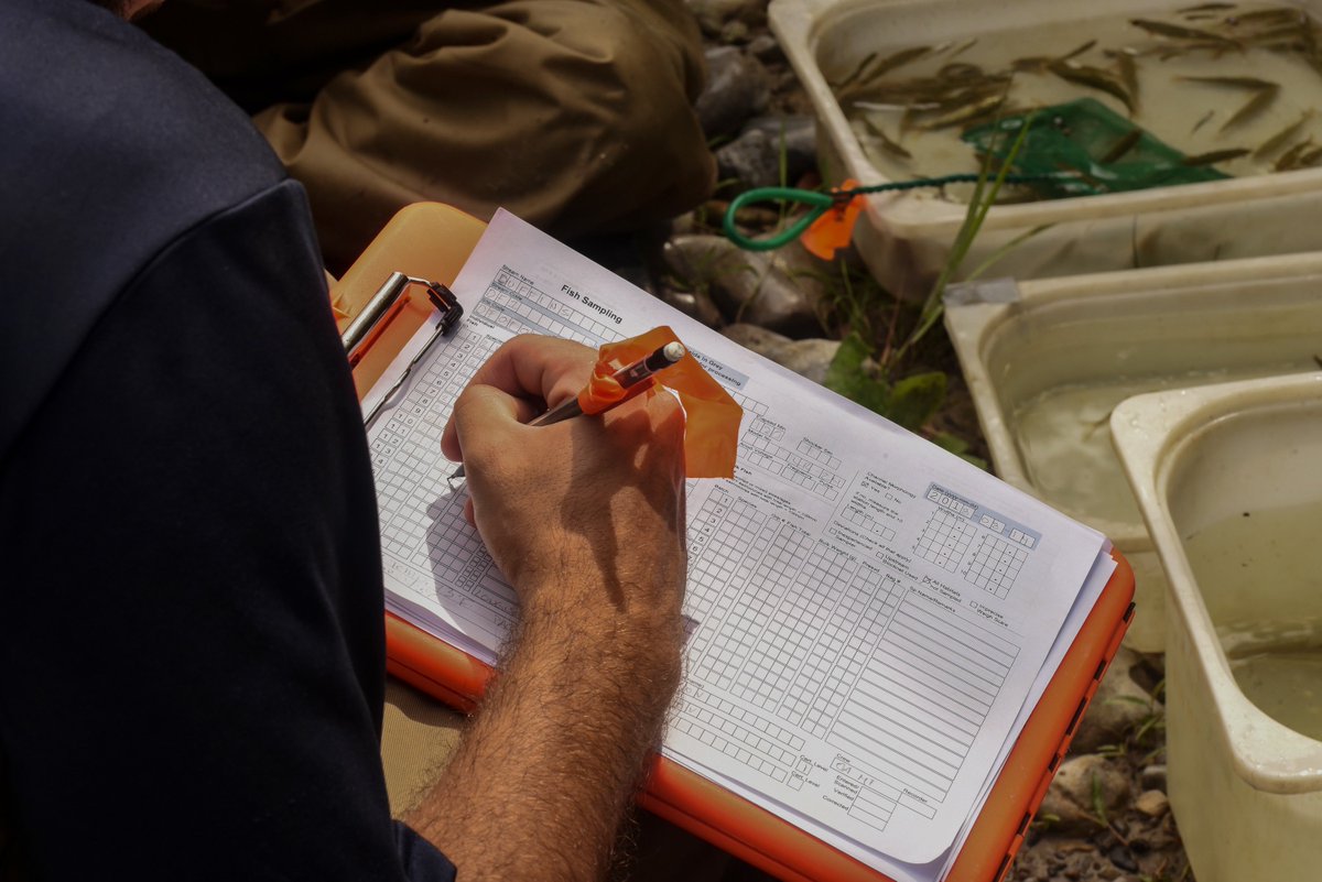 TRCA Monitoring tweet media