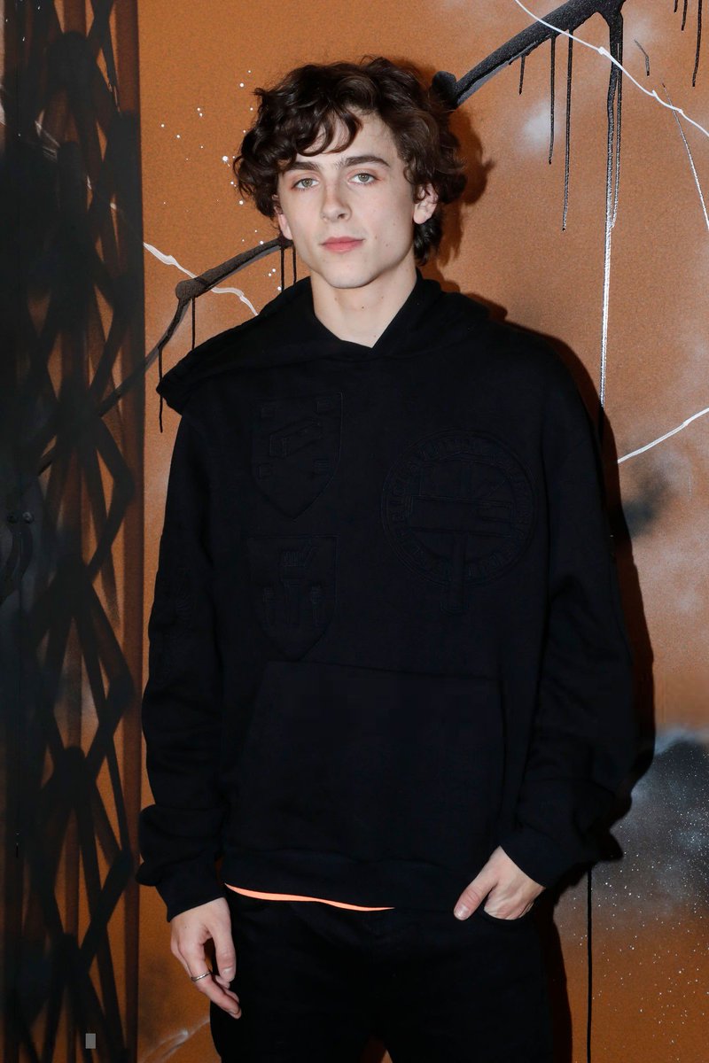 Timothée Chalamet Just Wore a Hot-Pink-and-Black Louis Vuitton Sweater –  Robb Report