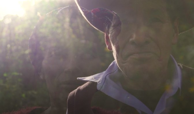 Andrea Arzaba tweet media