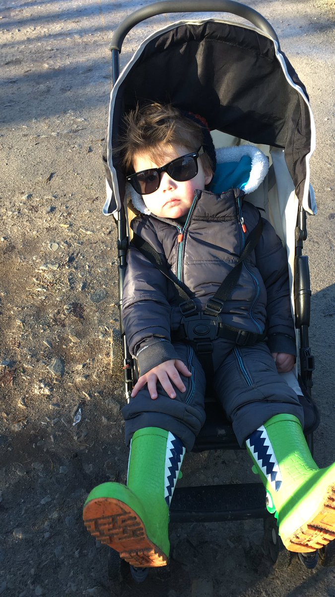 Tadpole Tales nannying tweet media