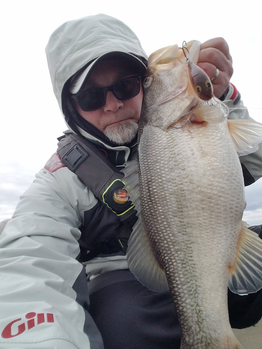 Jon Kohr (@crawbug) on Twitter photo To <a href="/FishinWithBrett/">Brett Mitchell</a> I did, I did. Felt good to get the line stretched on the first of 2019. Putting the KVD 7'11" Hvy crankin' stick to work. #quantumpt #smokept To <a href="/FishinWithBrett/">Brett Mitchell</a> I did, I did. Felt good to get the line stretched on the first of 2019. Putting the KVD 7'11" Hvy crankin' stick to work. #quantumpt #smokept