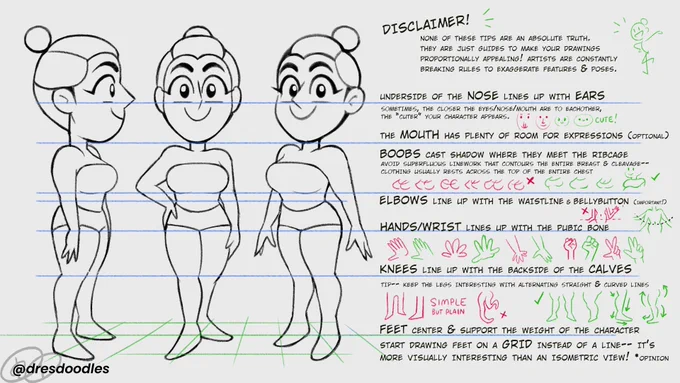 Somebody asked for anatomy tips so I made some cartoon-y anatomy notes ? #turnaround #illustration #characterdesign #dresdoodles 