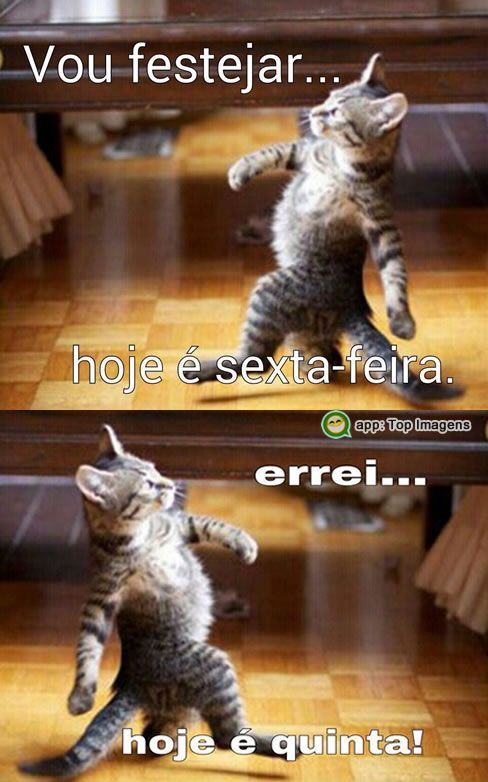 BETT0_'s tweet photo. kkkkkkkkk https://t.co/mSs6D3slKj