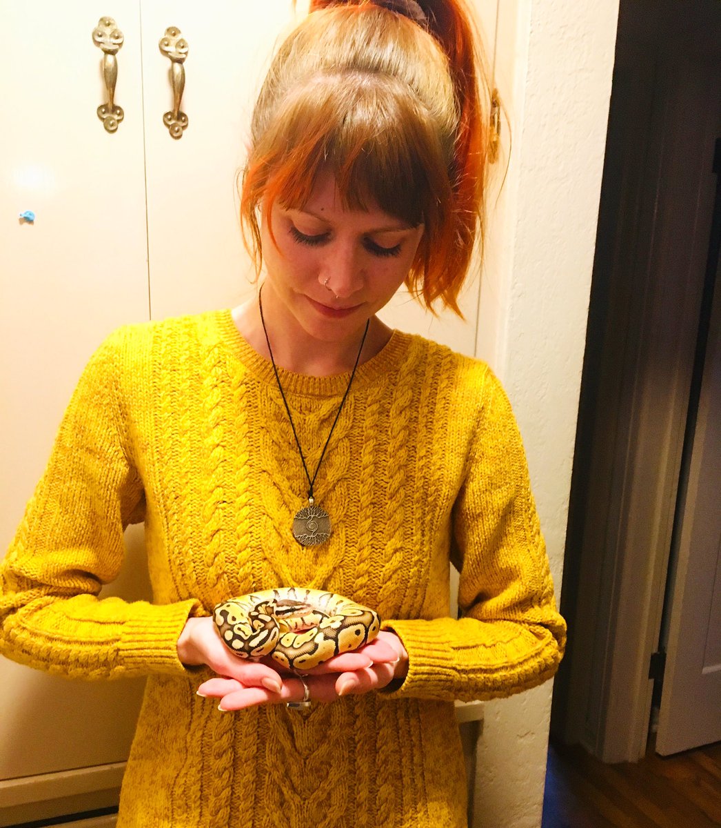 flowerpatched's tweet image. #twinning with Cleo! #ballpython #specialballpython #pastelballpython #yellowsweater