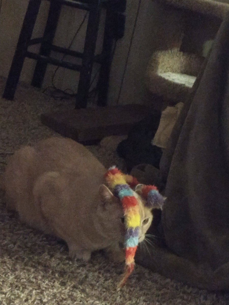 GarfMic's tweet image. 