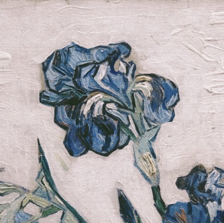 Ван гог цветы картины. Винсент ван гог "ваза с цинниями", 1888. Винсент ван гог натюрморты. Постимпрессионизм ван гог ирисы. Винсент ван гог розы оригинал.