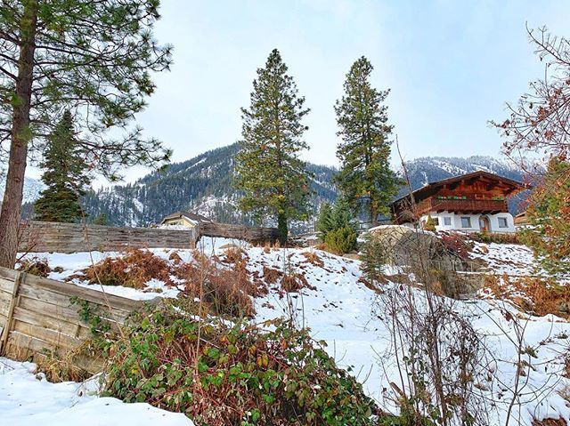 PVTravelDiaries's tweet photo. Paradise doesn't have to be tropical!!
.
.
.
.
.
.
.
.
.
#pnwphotographer #pnwonderland #naturephotography #traveldiaries #pnw #travel #travelblogger #travelphotography #travelgram #travelholic #travelguide #travelling #wanderlust #winterwonderland #wint… https://t.co/HkKD91rPpF https://t.co/8didgLv6oV
