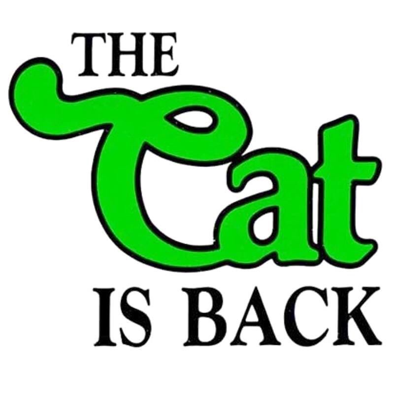 CountryCatInc's tweet image. In a shocking announcement that was released today, the Textron Off Road name will now be replaced by Arctic Cat on all dirt product! The Arctic Cat name will be put back on UTV and ATV&apos;s. THE CAT IS BACK! 😺🐅