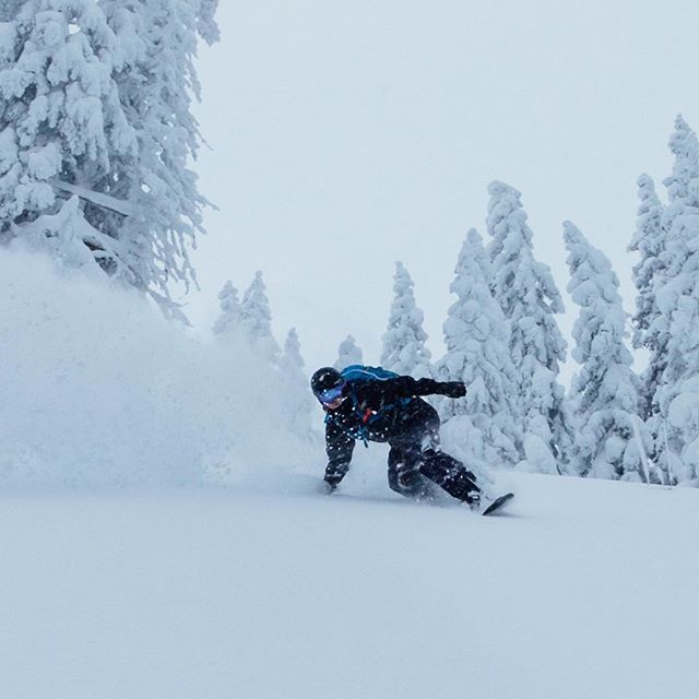 El_Maxus's tweet image. Can’t wait to get out and shred again this weekend! 
Where are you shredding?
.
.
.
.
#splitboarding #karakoram #sparkrandd #jonessnowboards #powaustria #protectourwinters #ournbhd #earnyourturns #nofriendsonapowderday #fromwhereiride #faceshots #skimo #skimountaineering #di…