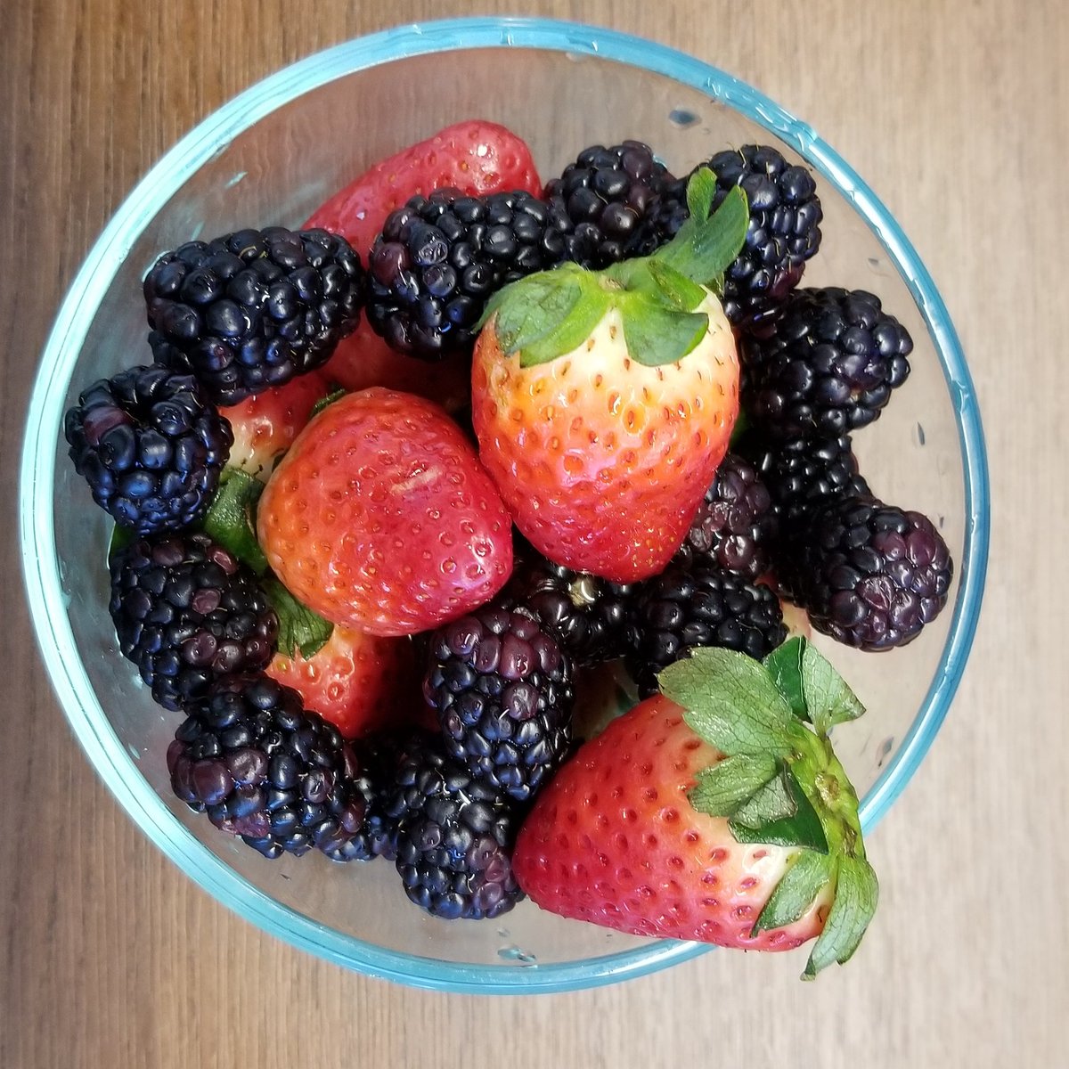 CTKING07's tweet image. Still on these berries! #HLHKParentChallenge @1HLHK #hlhk184