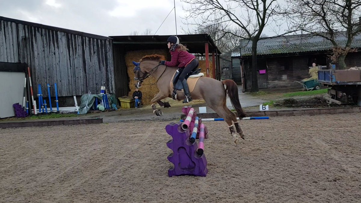 Me and #mrpaddlepants having a jump he loves it and it gives him a break from training , who else jumps there dressage ponies / horses ? #HorseChatHour
