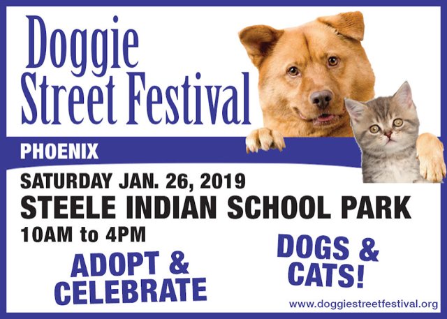 Come join us next Saturday! We will be at the 4th Annual Doggie Street Festival from 10-4 with some of our adorable ratties! #rats #petrats