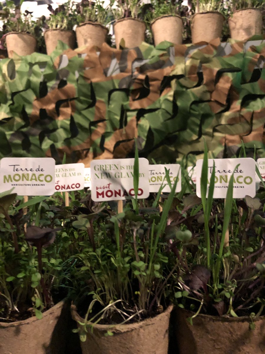 #mcgreenglam : Green is the new glam 💚