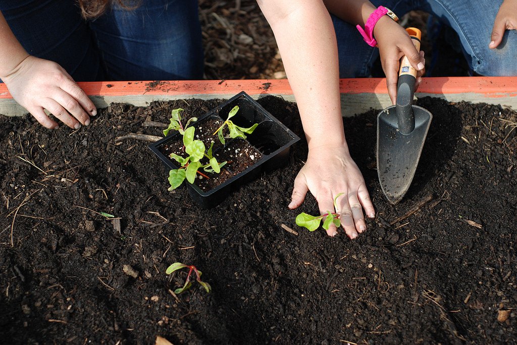 We know Philly youth are doing amazing work. Help us celebrate their achievements by nominating them for <a href="/PhillyMayor/">Mayor Cherelle L. Parker</a>’s Youth Hero Award ➡️ bit.ly/serviceaward20… #PHLserviceAwards