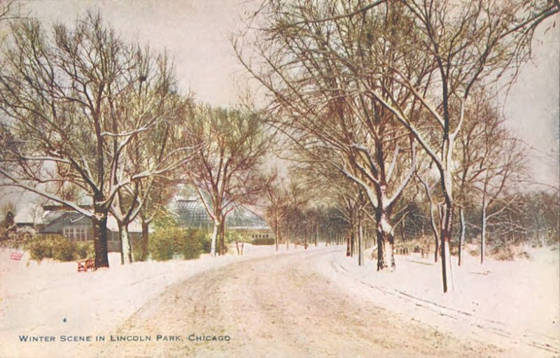 NewberryLibrary's tweet image. Make somebody's winter a little more tolerable by sending them a postcard from our newly restocked E-Postcard Sender. bit.ly/2yZPsbJ #postcards #winter