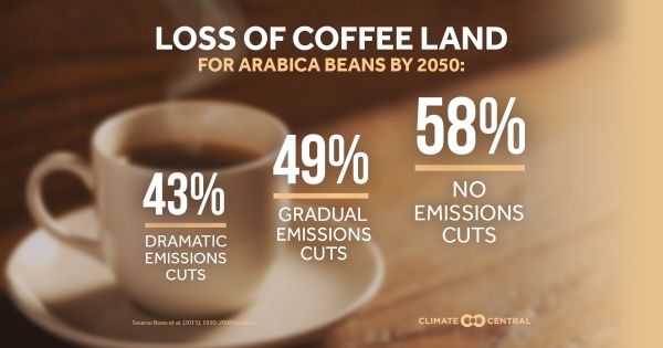 _ClimateMatters's tweet image. As climate change drives heat waves, droughts, and pest outbreaks across the globe, our favorite brews are at risk buff.ly/2QSKV1u
