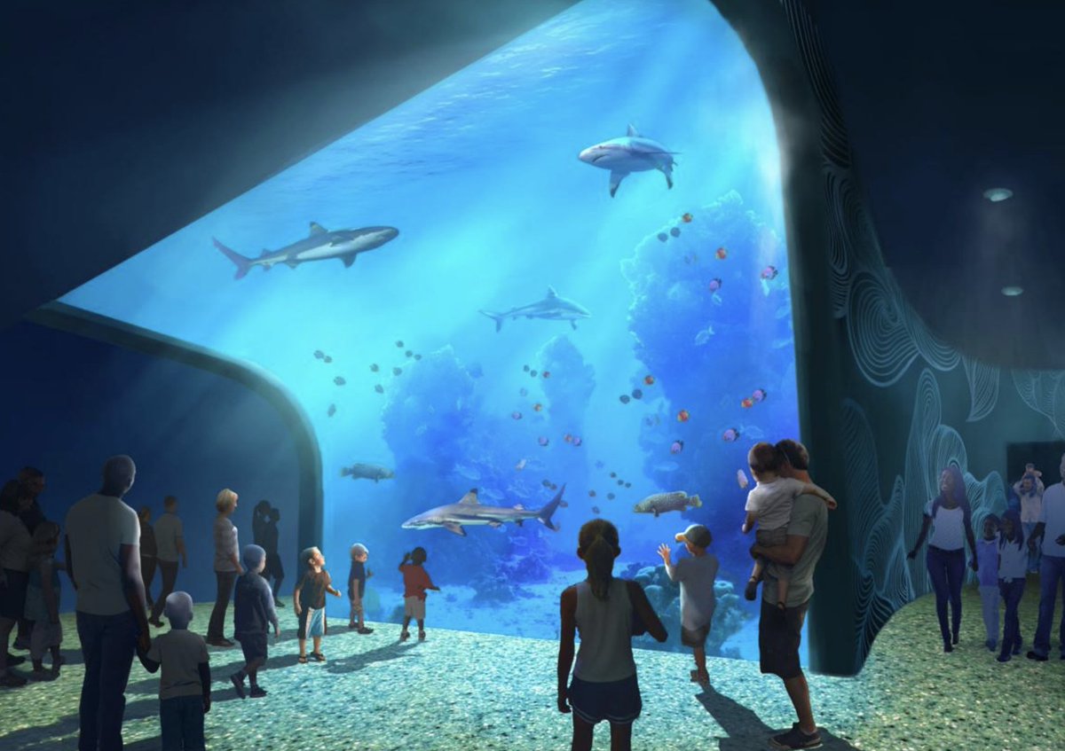 KMOV's tweet photo. Checkout these awesome renderings of the @AquariumSTL at @UnionStationSTL! #STLAquarium https://t.co/ugiXoNLPGc