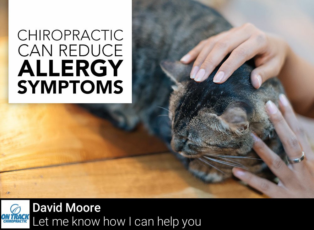 OnTrackChiro's tweet photo. From sneezes to food #allergies, chiropractic care can provide a much needed remedy. https://t.co/lpxjwqsADv