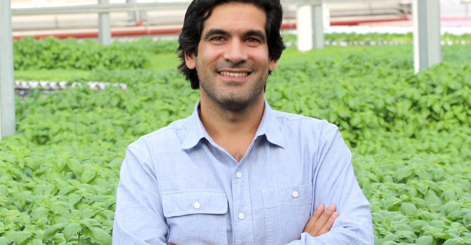 gothamgreens tweet picture