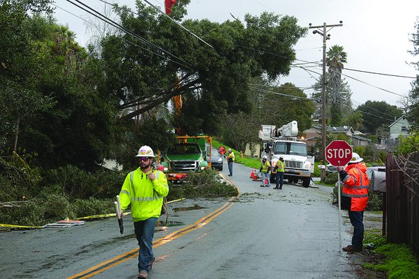 A large tree caved in on Cutter Dr. last night taking lines down with it.#RPnews@RegPaj