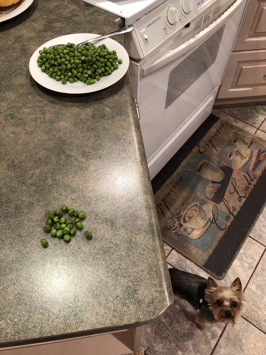 InTh3WhiteHouse's tweet photo. Jeffery why do you gotta pea on the counter..? https://t.co/kSAQlatByI