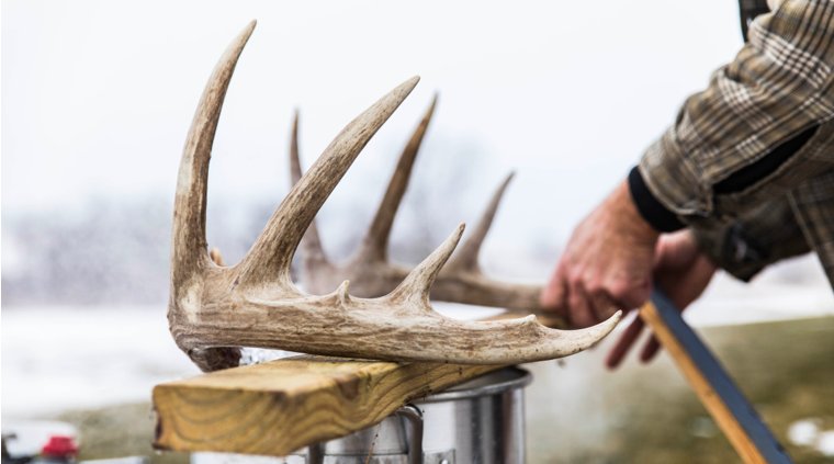 MeatEaterTV's tweet photo. How to make your own skull mount, or "freedom mount" as @stevenrinella calls them.
https://t.co/T5gNsZVGdQ
📸 Captured Creative
#meateater #hunting #hunter #deer #deerhunting #backcountryhunting #ethicalhunting #livetohunt #huntinglife #huntdifferent https://t.co/vRbKAlnCfE