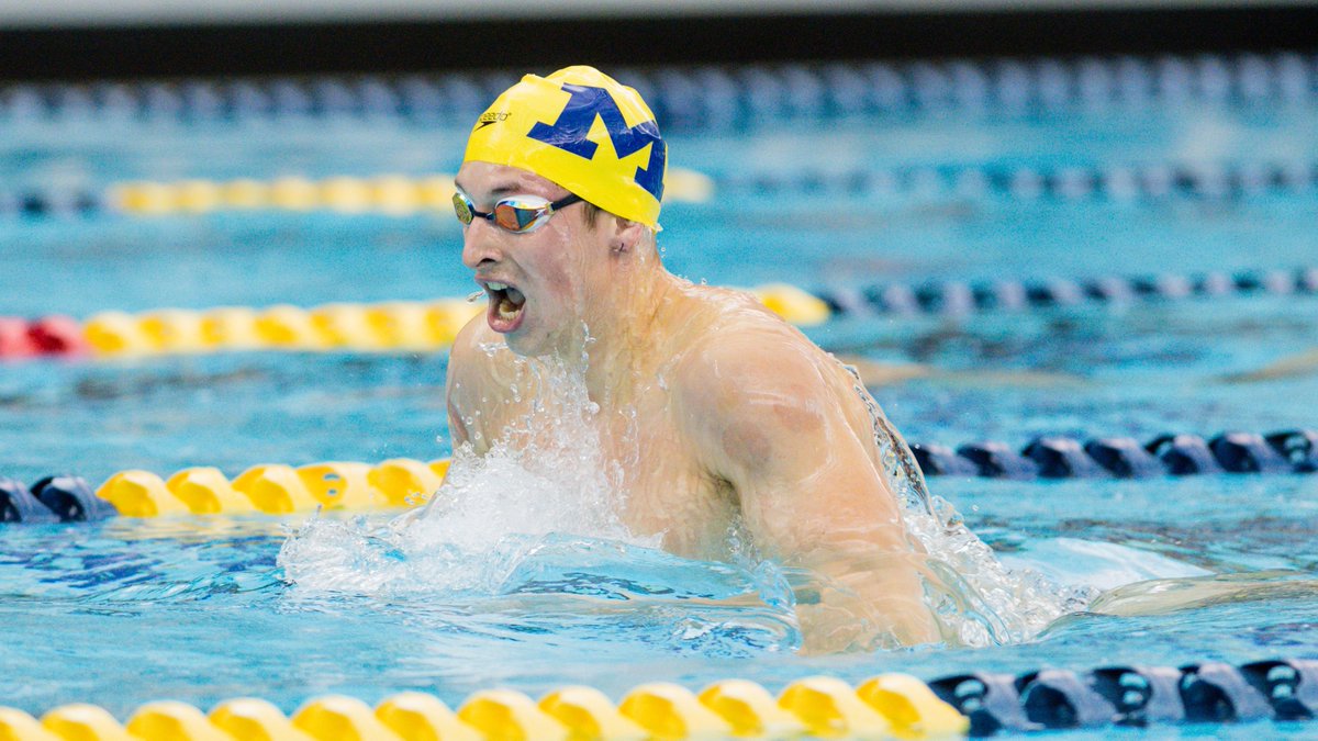 idive swim idive swim
