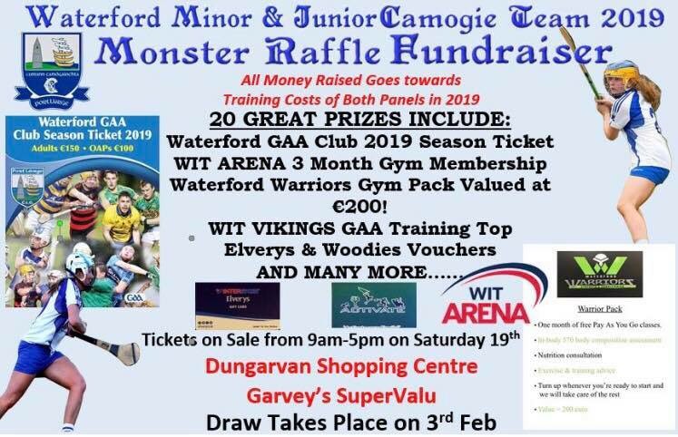 Please support our girls on Saturday next. Retweet if you can. Tickets on sale this Saturday in <a href="/DungarvanSC/">DungarvanSC</a> and <a href="/SuperValuIRL/">SuperValu Ireland</a> Garvey’s <a href="/tomasmcc/">Tomás McCarthy</a> <a href="/WhelanGavin/">Gavin Whelan</a> <a href="/WLRFMsport/">WLR Sport</a> <a href="/DermotKeyes/">Dermot Keyes</a> <a href="/IamClubDeise/">Club Déise</a> <a href="/CappoquinCC/">Cappoquin Camogie</a> <a href="/GailltirCamogie/">Gailltír Camogie</a> <a href="/anrinncc/">An Rinn Camogie</a> <a href="/DungarvanLeader/">Dungarvan Leader</a> <a href="/DungarvanObserv/">Dungarvan Observer</a>