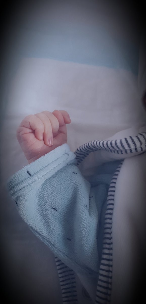 🌾célineb ⚘ tweet media