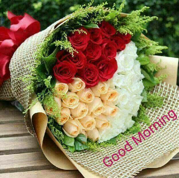 dravishek007's tweet photo. Very good morning all of my friend. https://t.co/tBittZFTyg