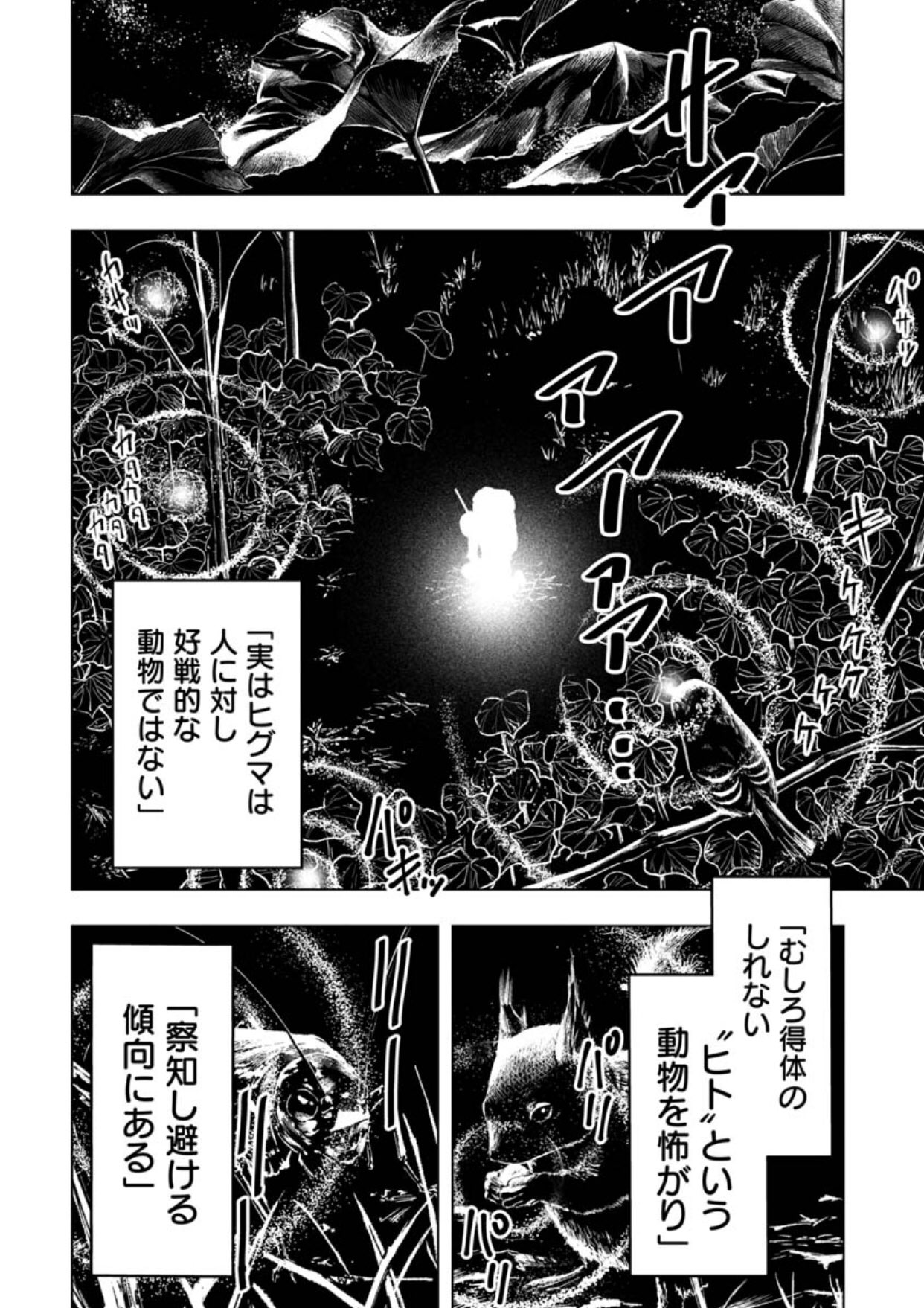 クマ撃ちの女 14巻【電子特典付き】 (バンチコミックス) | 安島