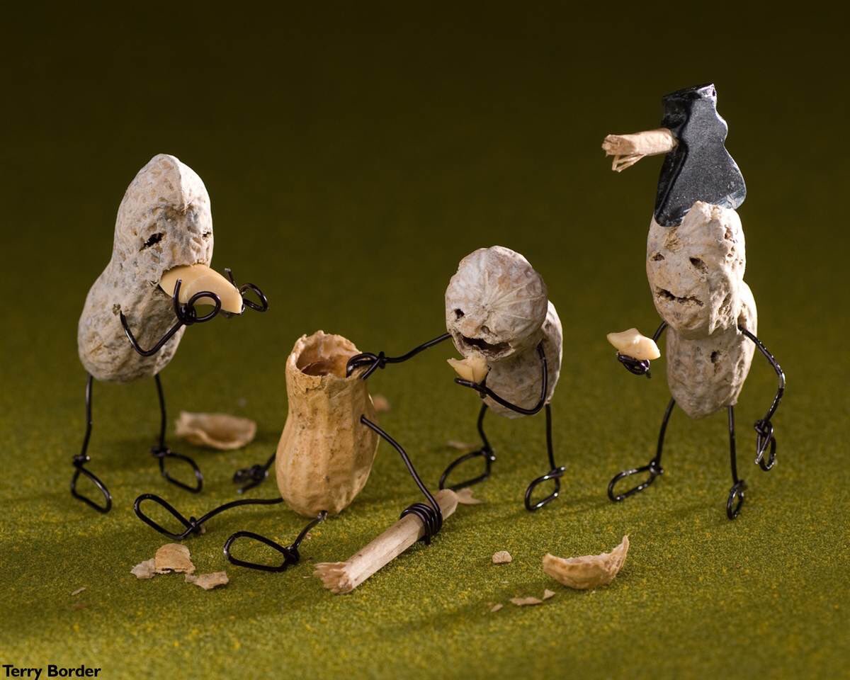 Peanut Zombies by Terry Border