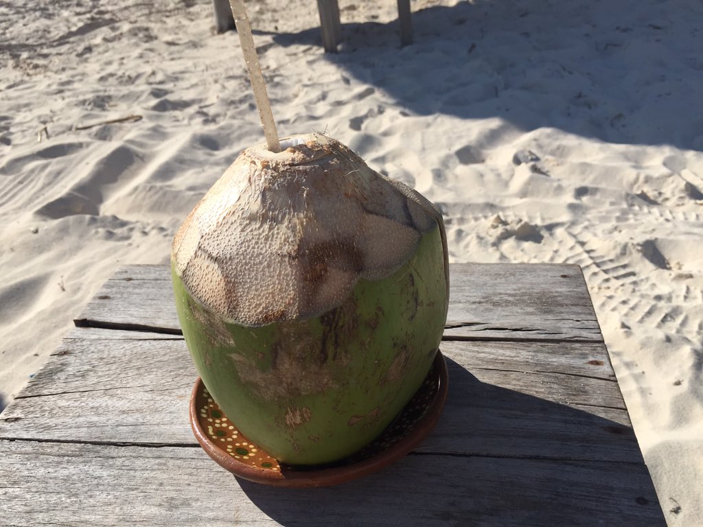 #coconutwater the natural way #hydration #calmingcrohns #Tulum #LoveMexico