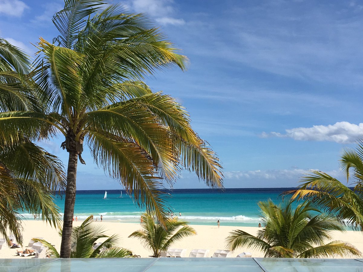 KatieGriffinCTV's tweet photo. Warming up after my cold story by thinking of where we were this time last year. #takemeback #thiswaytothebeach #travel https://t.co/jBzkaLlclH