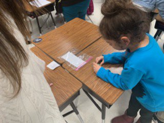 Steadham Elementary tweet media