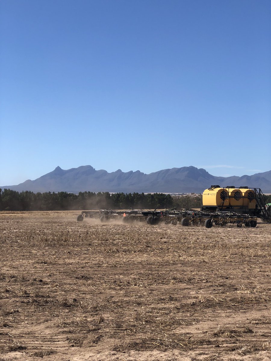 DirectSeeding's tweet image. #SeedMaster #plant19 #herewecome