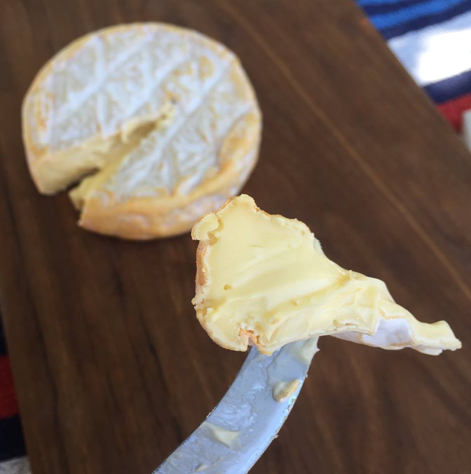 There are only 8 days left to vote for us in this year's Australian Grand Dairy People's Choice Awards! Did we mention you could 𝗪𝗜𝗡 a year's worth of cheese simply by voting? 

VOTE for our Blackall Gold Washed Rind here 👉 bit.ly/VoteBlackallGo… 😋
#woombyecheese