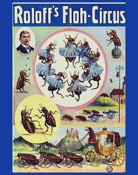 JuanitaViolini's tweet photo. Flea Circus - anyone ever seen one? Is that even a thing anymore? Do you aspire to be a Flea Circus Ringmaster?
#fleacircus #circus #oddity #ringmaster #character #oddhobbies https://t.co/Hz8feMe7bK