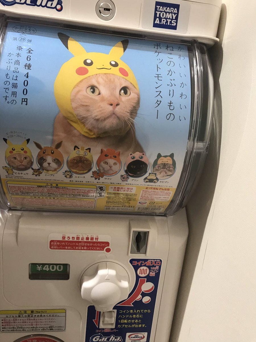 えだま On Twitter ネズミの被り物をする猫