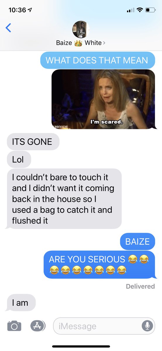 Text thread. Baize: It’s gone. Lol. I couldn’t bare to touch it and I didn’t want it coming back in the house so I used a bag to catch it and flushed it. Me: BAIZE. ARE YOU SERIOUS. Baize: I am.