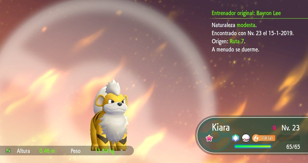 StarHunter_BVL's tweet photo. 15/01/2019 - Despues de intentarlo una y otra vez, finalmente aparece el Pokémon perrito Shiny! En racha de 37 Capturas! Que feliz me hizo ✨🐶😄🤩
#PokemonLetsGOPikachu #ShinyHunt #ShinyHunter #MyShinyPokemon #Pokedex #ShinyGrowlithe #CatchCombo #PokemonLetsGO https://t.co/cSOpsThNFC