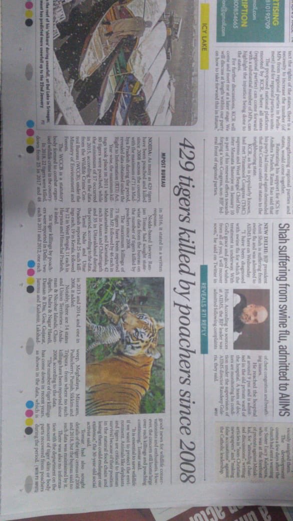 RanjanTomar's tweet photo. #Environment #SaveTigers #MilleniumPost @pksbjp @prchandna @dr_maheshsharma #myRTI #429TigersKilled https://t.co/vLnvSQ6E1B