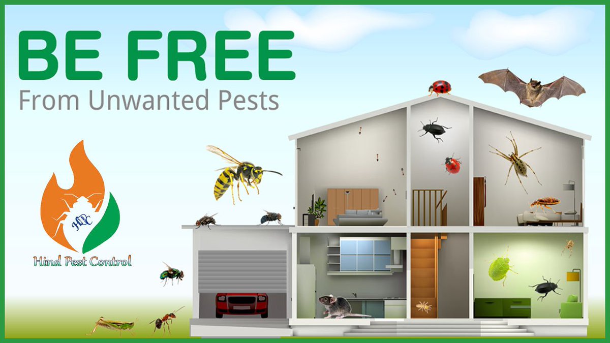 Hindpestcontrol's tweet image. Provide Pest Control Service to Protect your HOME From PESTS like #CockroachPestControl #BedbugPestControl #TermitePestControl  #RatPestControl #RodentPestControl #AntPestControl #SpiderPestControl #LizardPestControl....etc with 100% guaranteed result.
CALL NOW-7720050447.