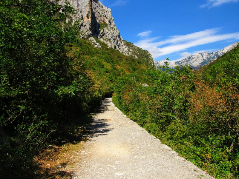 RoyalCroTours's tweet photo. On the way to the Mighty Mountains. #hikingcroatia #Croatia

https://t.co/YjaGY8gUT5 https://t.co/Bvq2GsCSiU