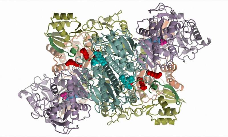 For slot booking visit our website: analyticalchemistry.euroscicon.com  

Rutgers University- Molecular machinery that makes potent antibiotic revealed after decades of research.

#Crystallography #Antibiotics #ChemicalReactions #Biochemistry #Antimicrobials #AnticancerDrugs